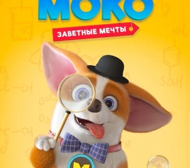 Корги по имени Моко серия №16